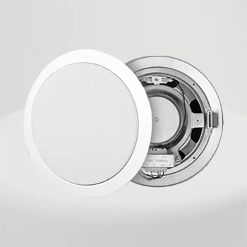 loudspeaker ceiling type